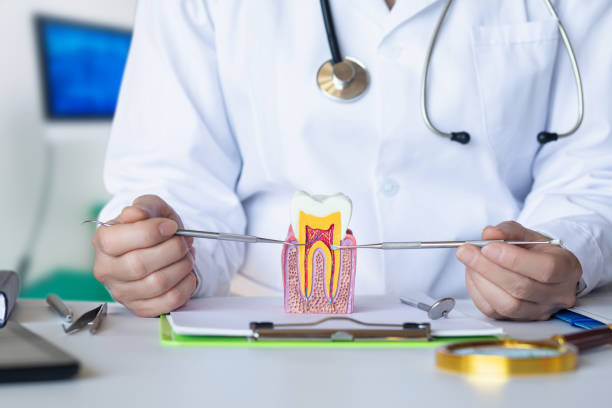 Best Same-Day Emergency Dental Services in Crump, TN